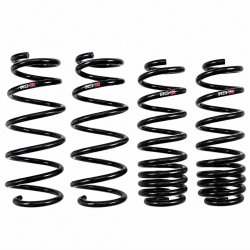 RS-R 09-13 Fit Down SUS Lowering Springs